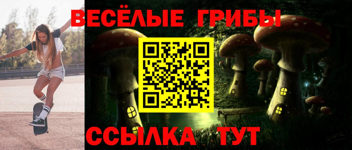 Галлюциногенные грибы Psilocybe  Вход с VPN  Нижний Тагил 
