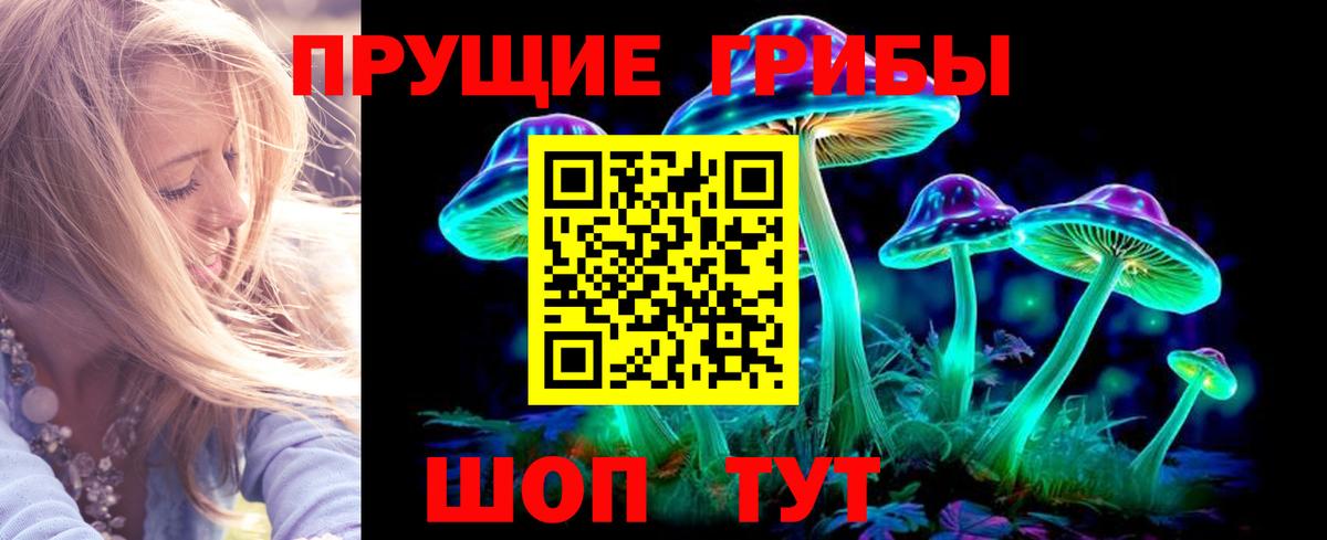 Псилоцибиновые грибы мицелий Нижний Тагил